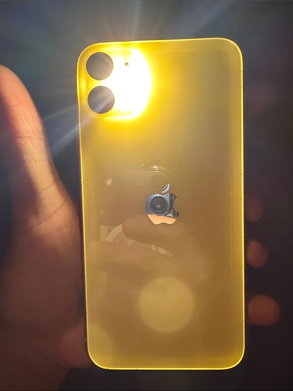 Apple Yellow iPhone with Dual Camera